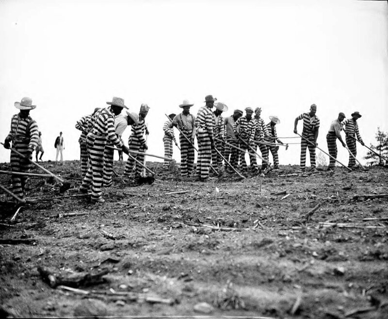 Convicts at Dallas, Georgia (in field)