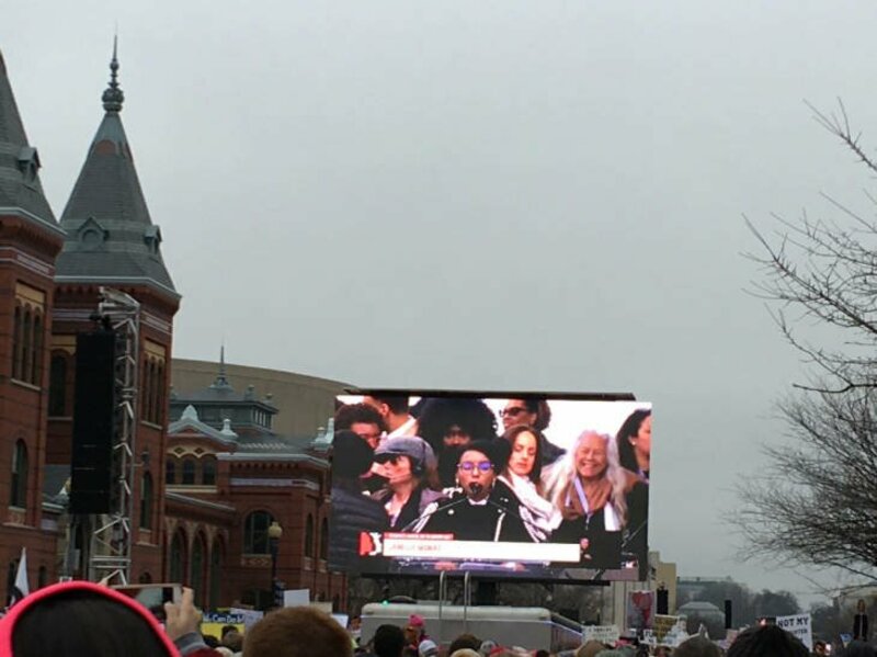 Crowd of protesters watching Janelle Monae on a television monitor, Women's March on Washington, 2017-01-21